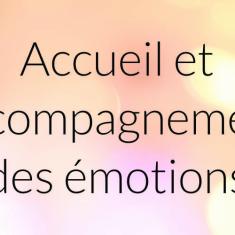 atelier filliozat accueil et accompagnement des emotions