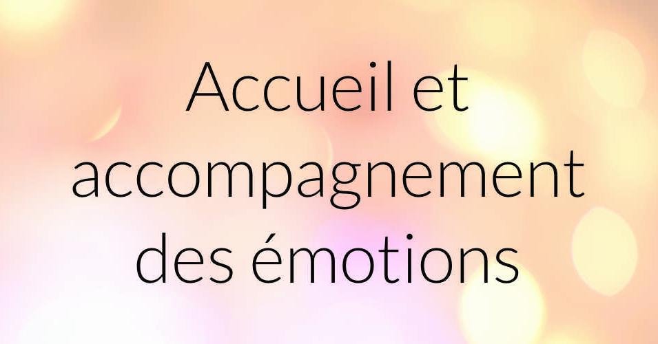 atelier filliozat accueil et accompagnement des emotions