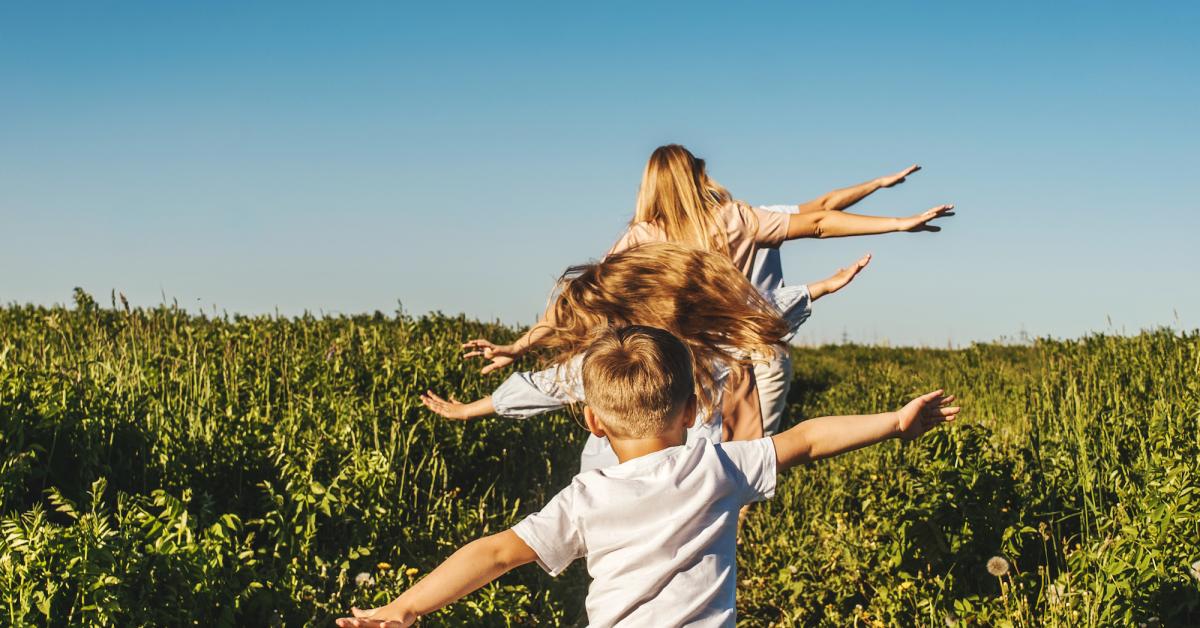 happy family like planes in field TYHHDF6