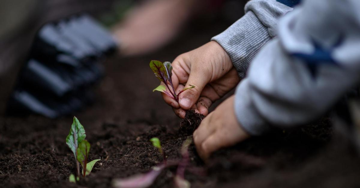 parent-jardin_parentalite_positive