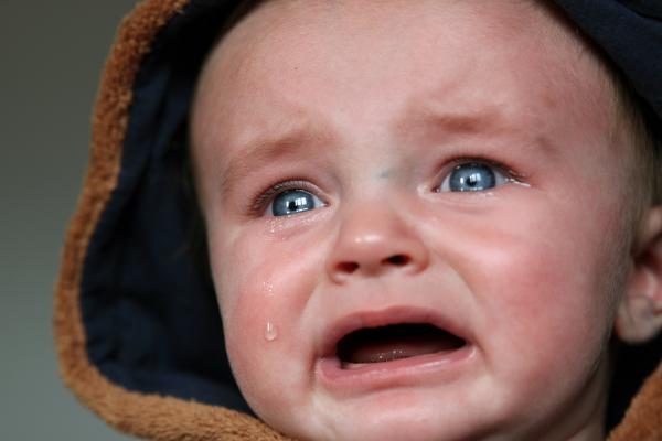 baby tears 4