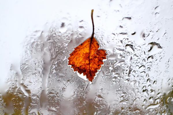 promenade mauvais temps